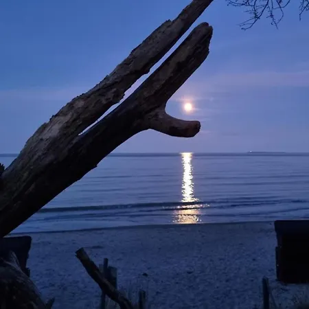 Apartmán Traumhaftes - Odins Blick 24 - Exklusive Strandlage, Gartenanlage, Sauna *