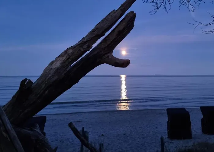 Daire Traumhaftes - Odins Blick 24 - Exklusive Strandlage, Gartenanlage, Sauna *