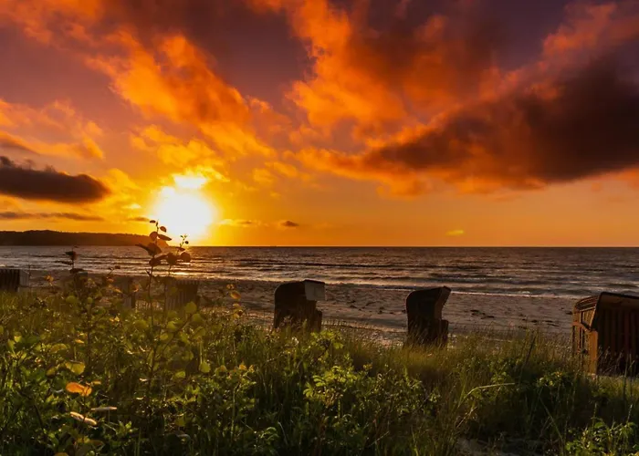 Daire Traumhaftes - Odins Blick 24 - Exklusive Strandlage, Gartenanlage, Sauna Lobbe